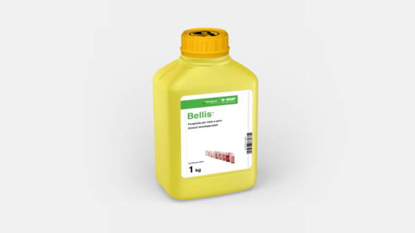 BELLIS 1KG- BASF