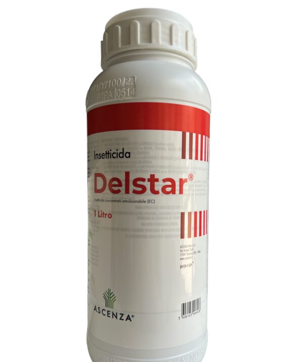DELSTAR 1LT- ASCENZA
