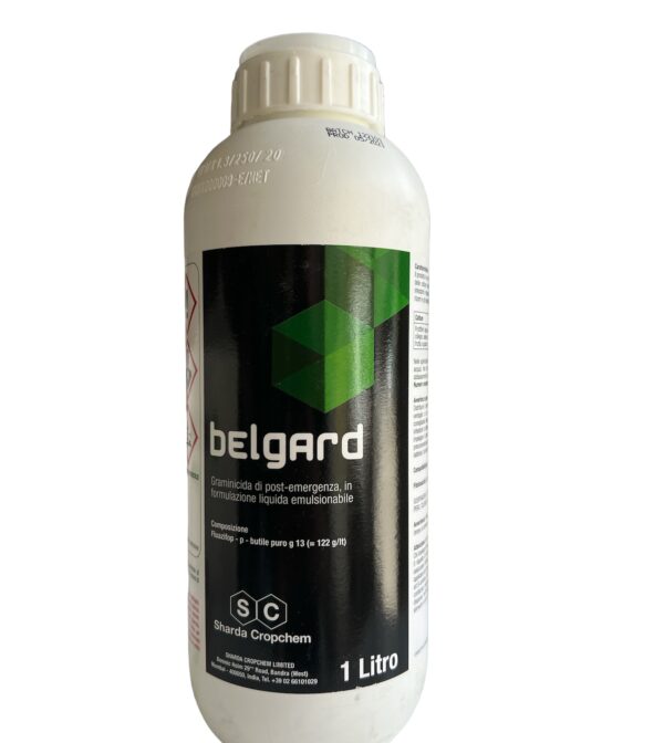 BELGARD 1LT- SHARDA ITALY
