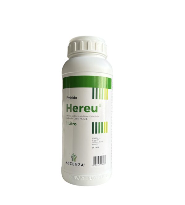 HEREU 1LT- ASCENZA
