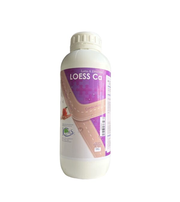 LOESS CA- ICAS