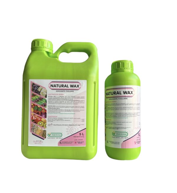 NATURAL WAX- FERTENIA