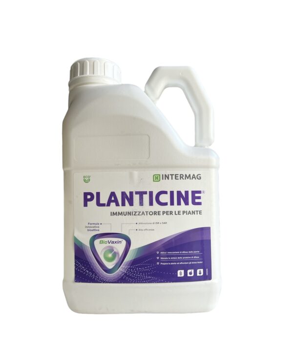 PLANTICINE 5LT- INTERMAG