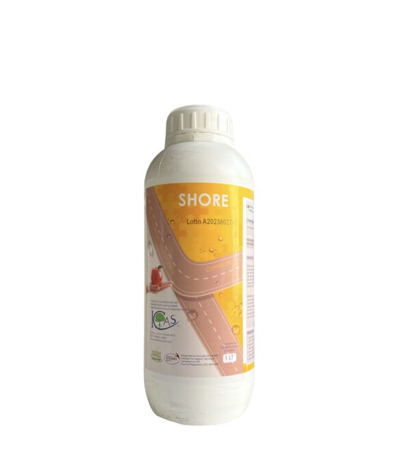 SHORE 1KG- ICAS