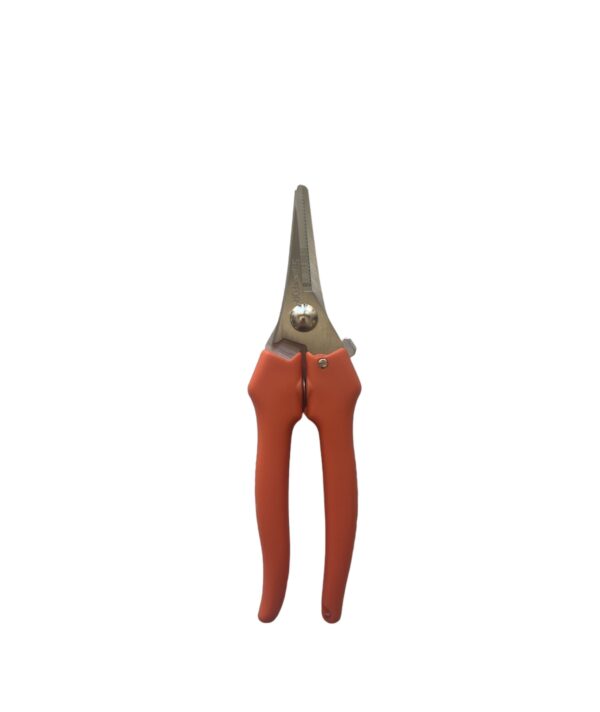FORBICI COGLI/PULISCI UVA ART.823- STAFOR