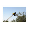 ABBACCHIATORE ELETTRICO 'GIULIVO 4YOU' 12V- VOLPI - immagine 2