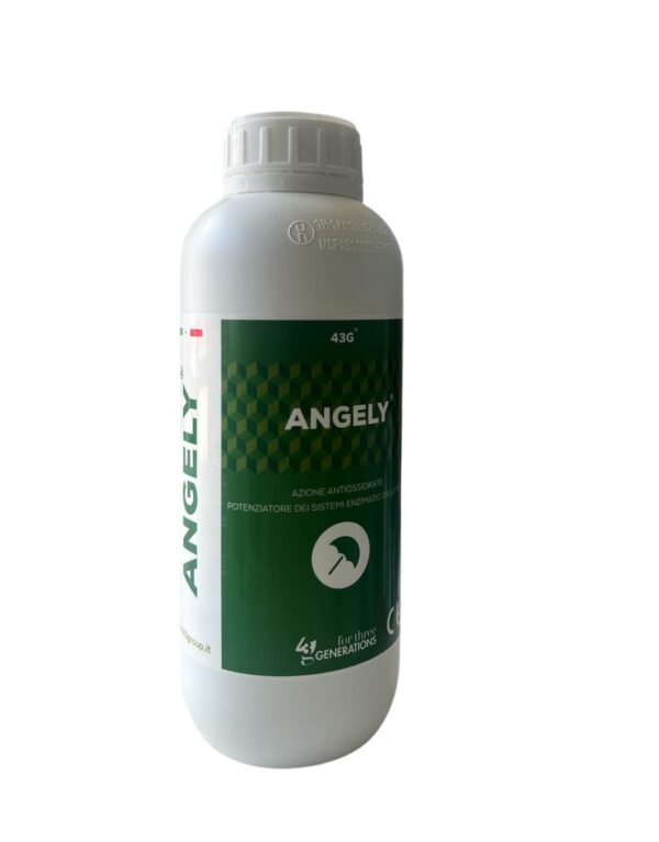ANGELY' LT.1- 43G