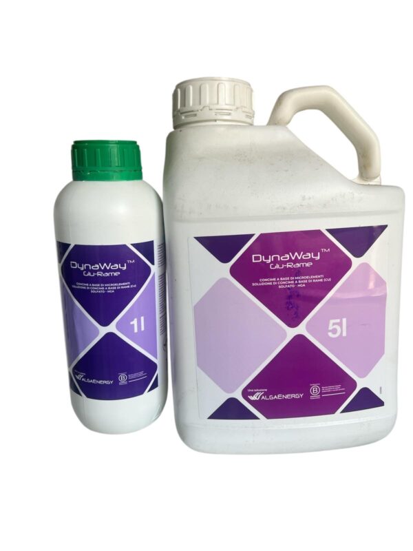 DYNAWAY GLU RAME- ALGA ENERGY