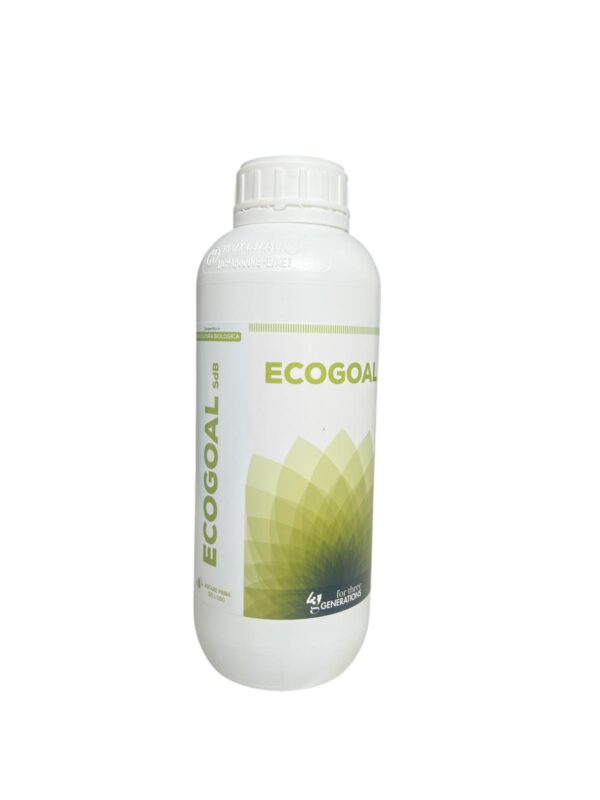 ECOGOAL SDB LT.1- 43G