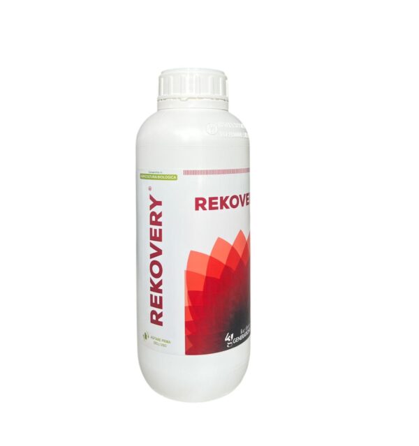 REKOVERY LT.1- 43G