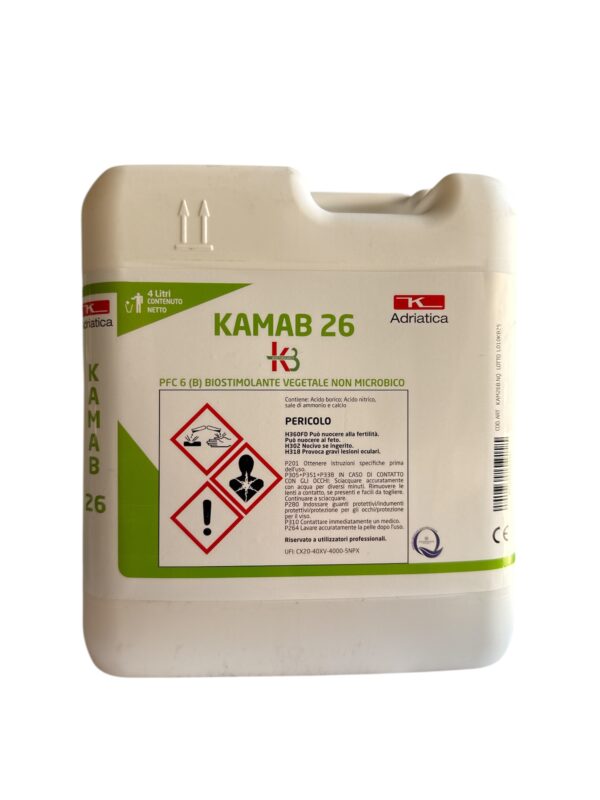 KAMAB 26 KG.6- K ADRIATICA