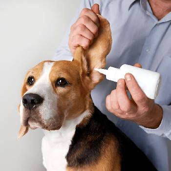 Antiparassitari e detergenti