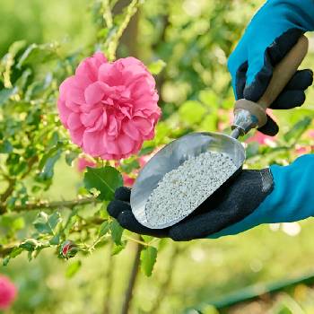 Concimi e fertilizzanti libera vendita