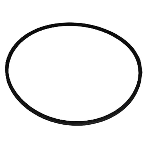 CINGHIA per Oscar' - 'Fanny 3'