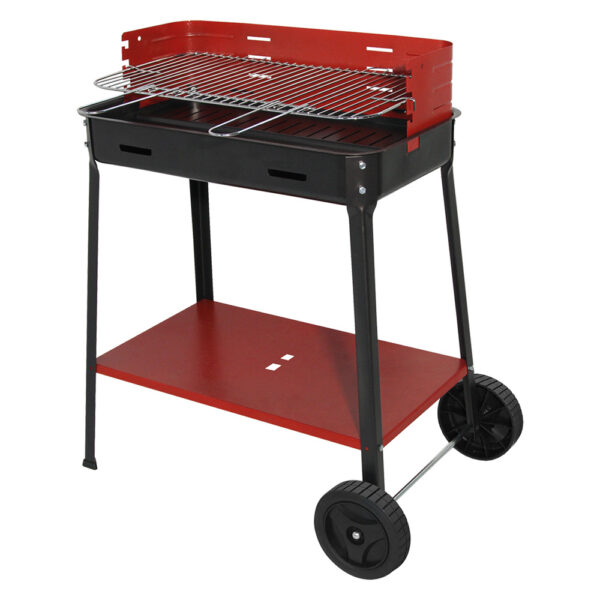 BARBECUE A CARBONE 'FLAVIA' cm 35 x 50 x h 85
