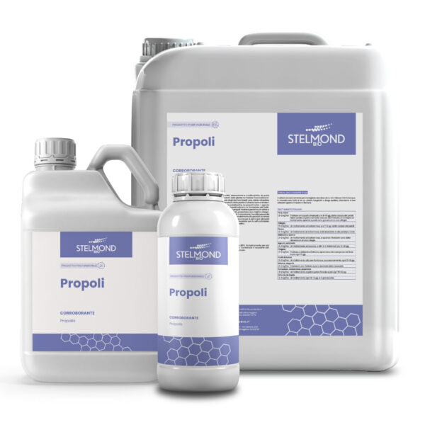 PROPOLI CORROBORANTE KG.1- STELMOND BIO