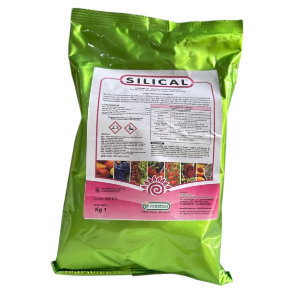 CONCIME AD ALTO CONTENUTO DI CALCIO SILICAL- FERTENIA